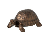 SCHILDPAD - BRONS