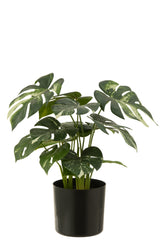 KUNSTSTOFPLANT - MONSTERA PLANT