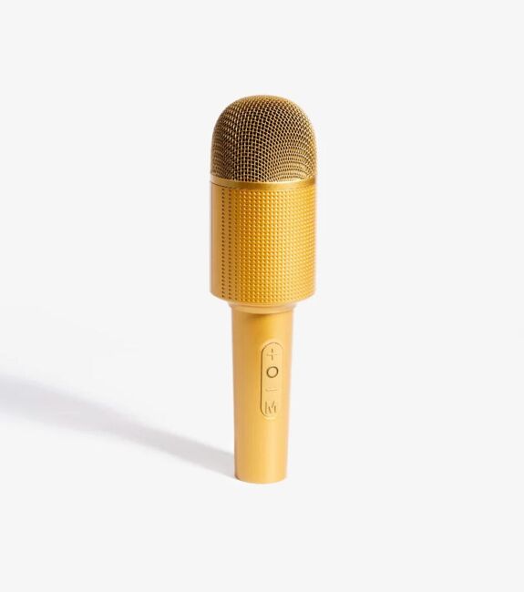 DRAADLOZE KARAOKE - LUIDSPREKERMICROFOON (kopie)
