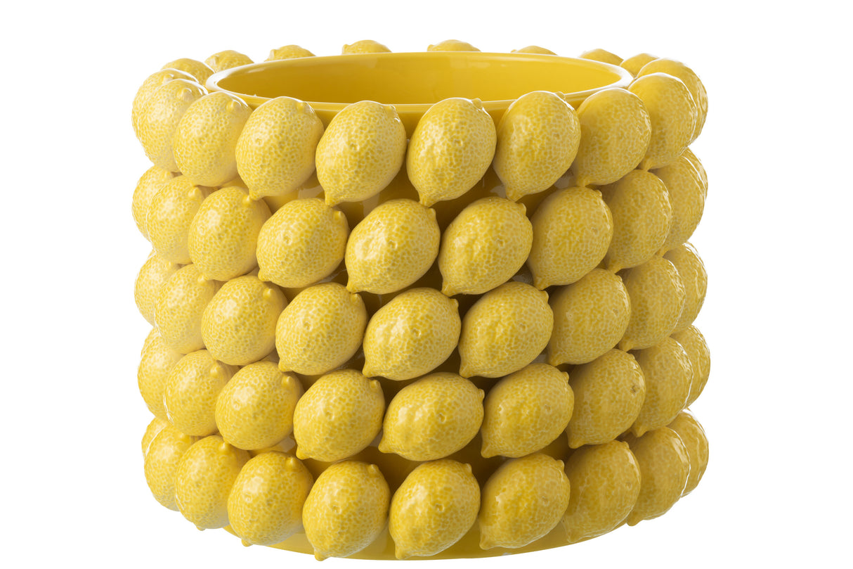 BLOEMPOT CITROEN - XL