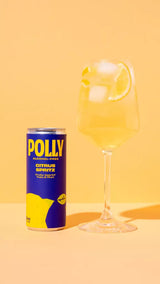 POLLY IN A CAN - CITRUS SPRITZ ALCOHOL-FREE