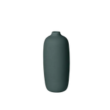 CEOLA VAAS - RAIN FOREST