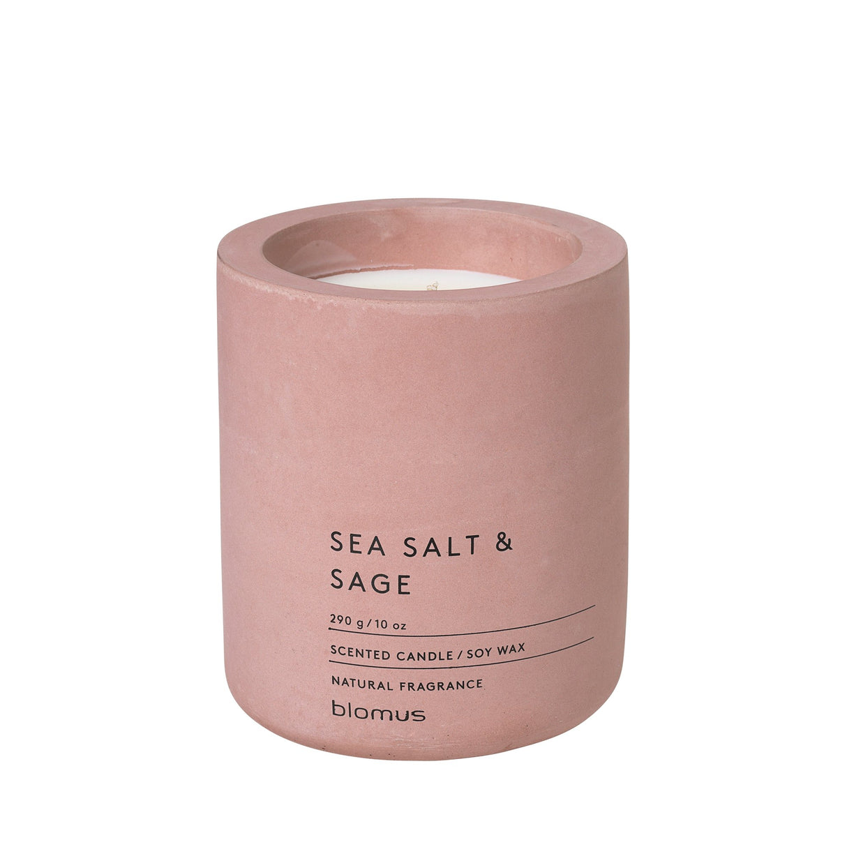 FRAGA GEURKAARS WITHERED ROSE - MEDIUM