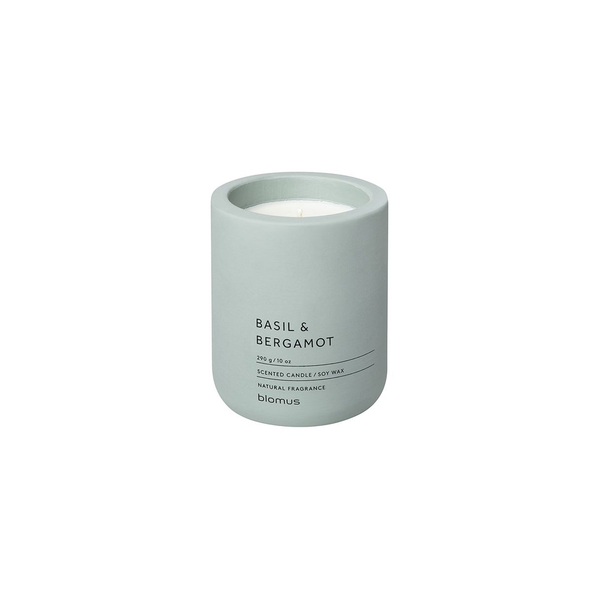 FRAGA GEURKAARS PINE GRAY - MEDIUM