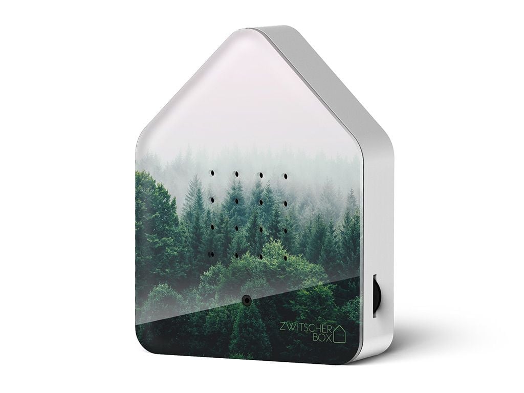 ZWITSCHERBOX - MORNING FOREST