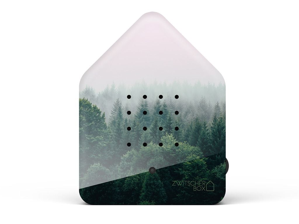 ZWITSCHERBOX - MORNING FOREST