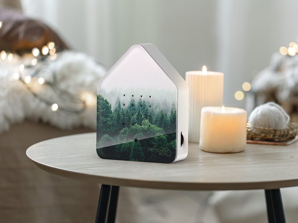 ZWITSCHERBOX - MORNING FOREST