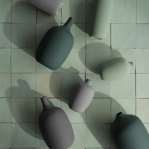 CEOLA VAAS - RAIN FOREST