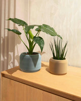 LOU PLANTENPOT