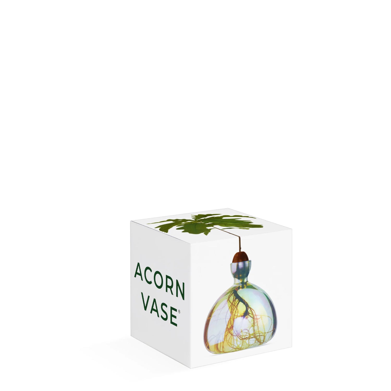 ACORN VAAS - COSMIC ASTRA