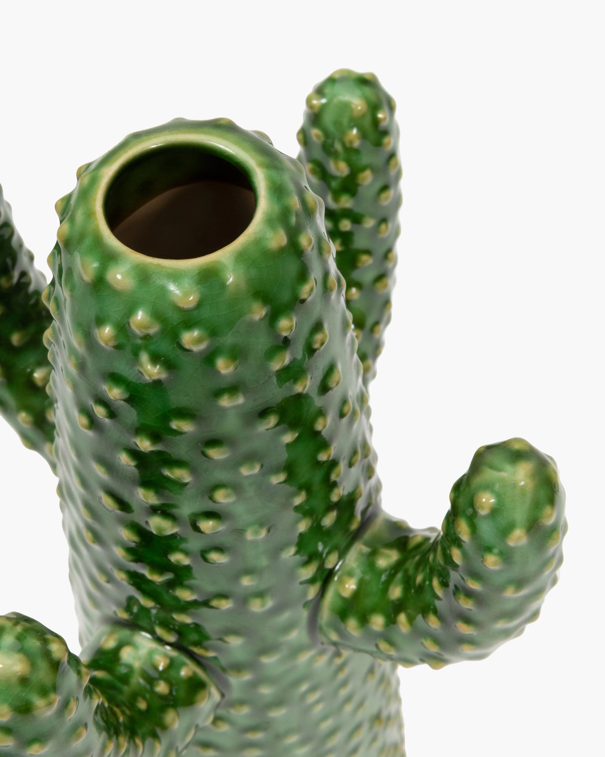 CACTUS VAAS -  MEDIUM