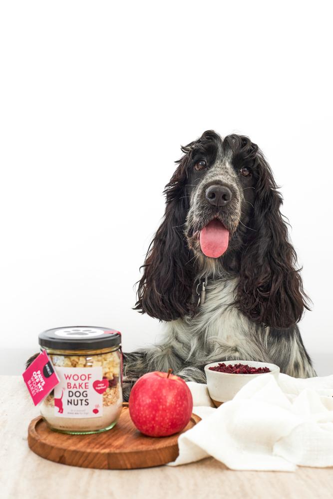 WOOF BAKE DOGNUTS