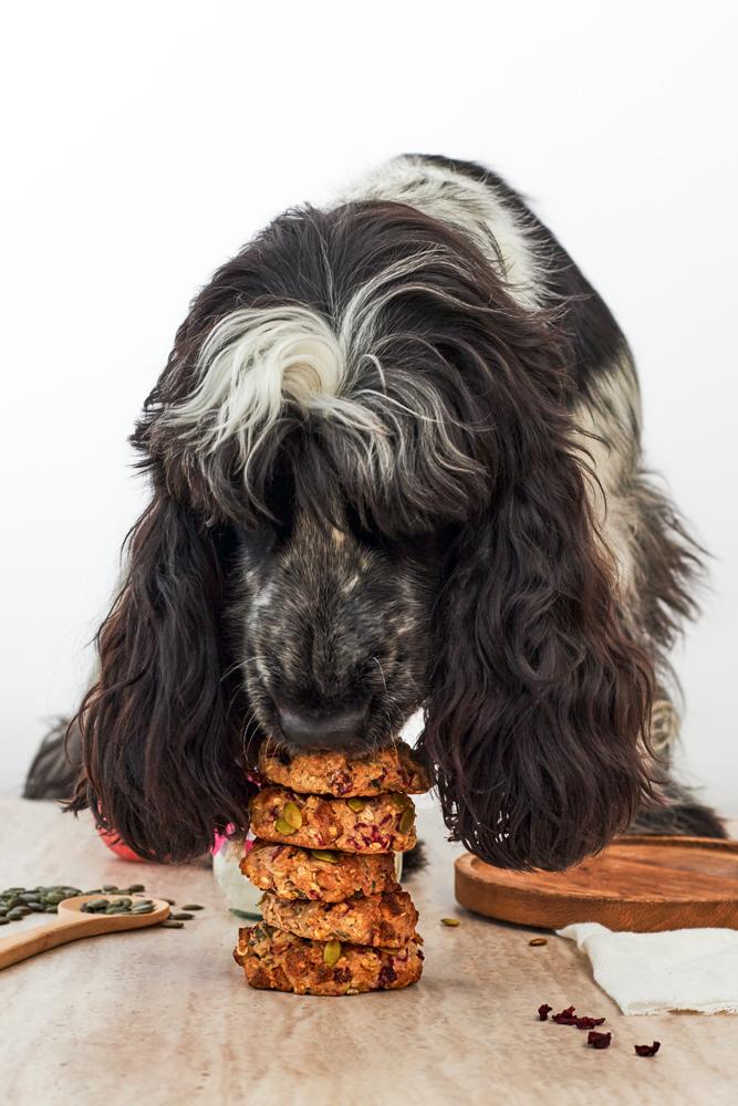 WOOF BAKE DOGNUTS