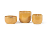 HONEY OUTDOOR KAARS