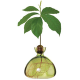 AVOCADO VAAS - GRASS GREEN