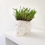 SKULL PLANTENPOT - DOTS