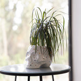 SKULL PLANTENPOT - DOTS