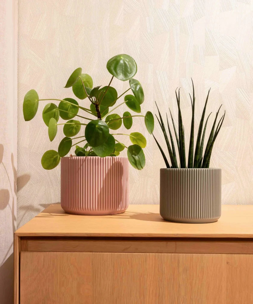 MILLIE PLANTENPOT