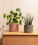 MILLIE PLANTENPOT