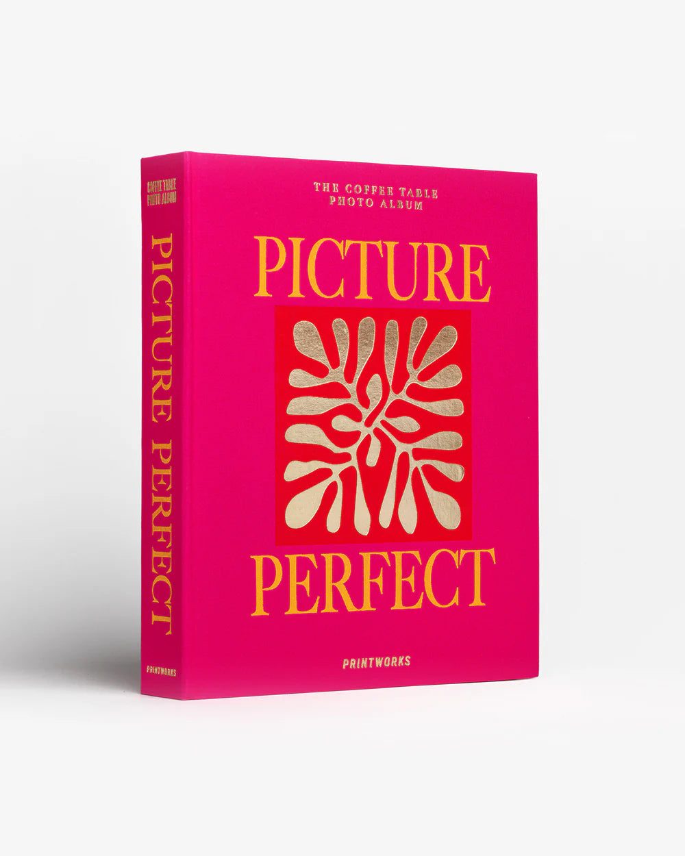 FOTO ALBUM - PICTURE PERFECT