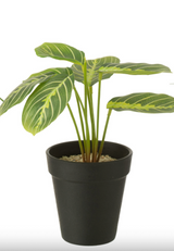 KUNSTSTOFPLANT - PLANTEN MIX