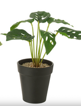 KUNSTSTOFPLANT - PLANTEN MIX