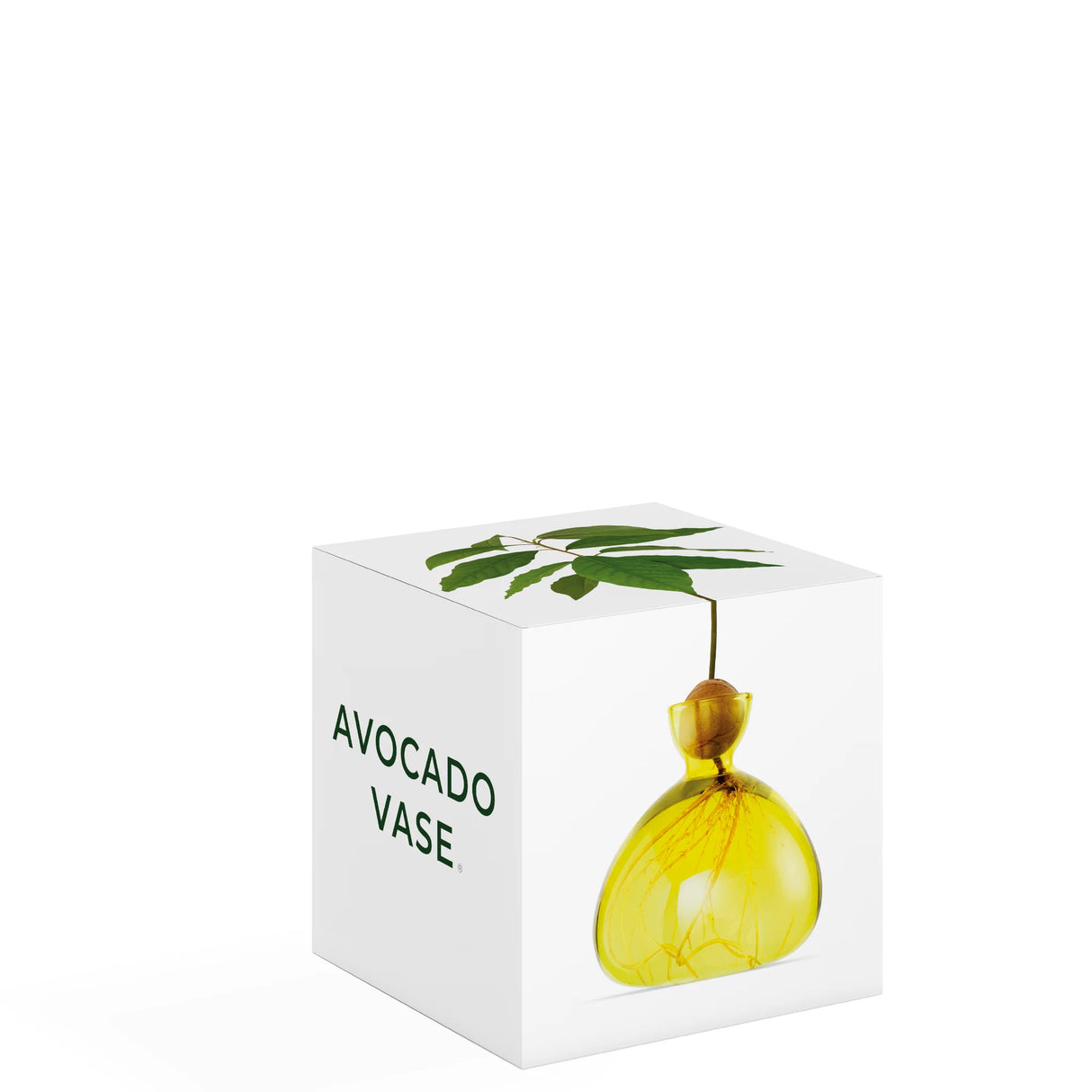 AVOCADO VAAS - SUNLIGHT YELLOW