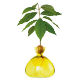 AVOCADO VAAS - SUNLIGHT YELLOW