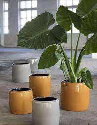SIERPOT S HONEY
