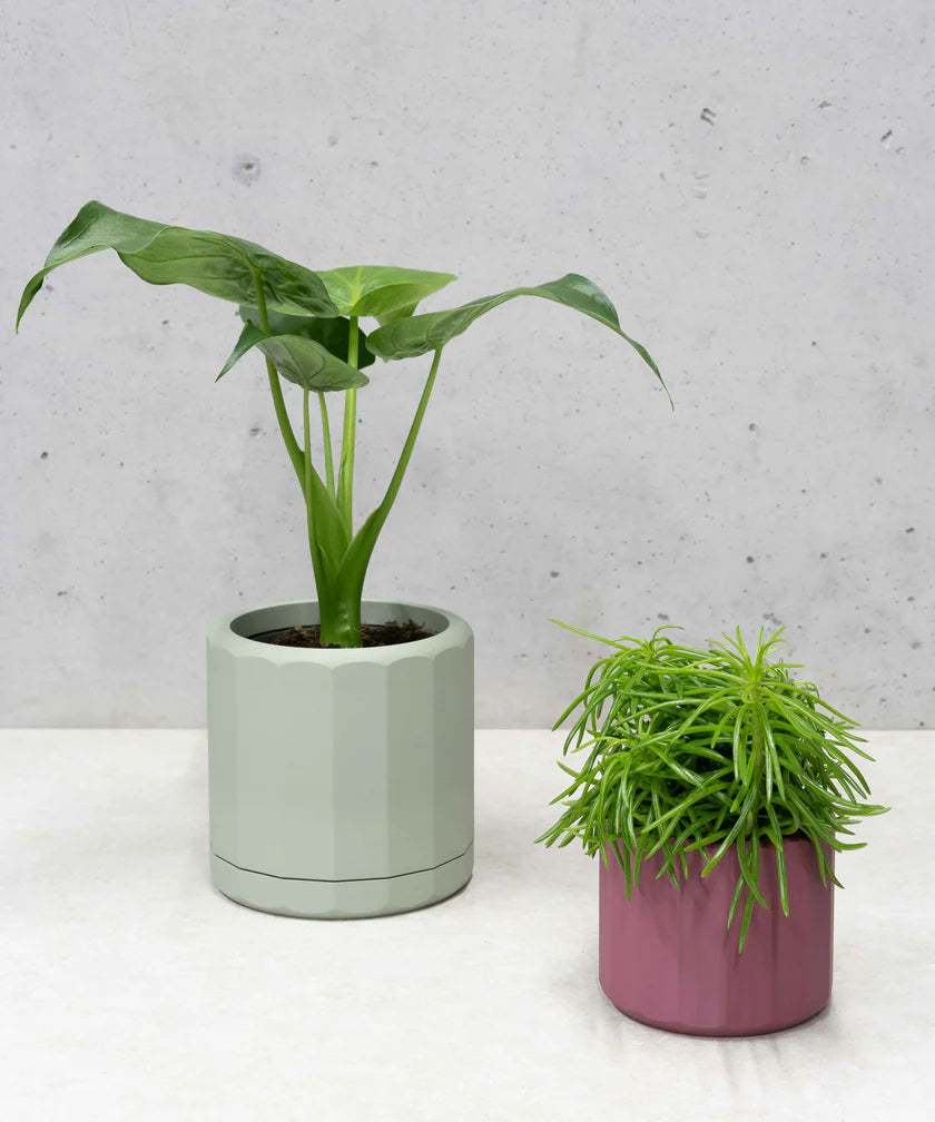 JACKY PLANTENPOT