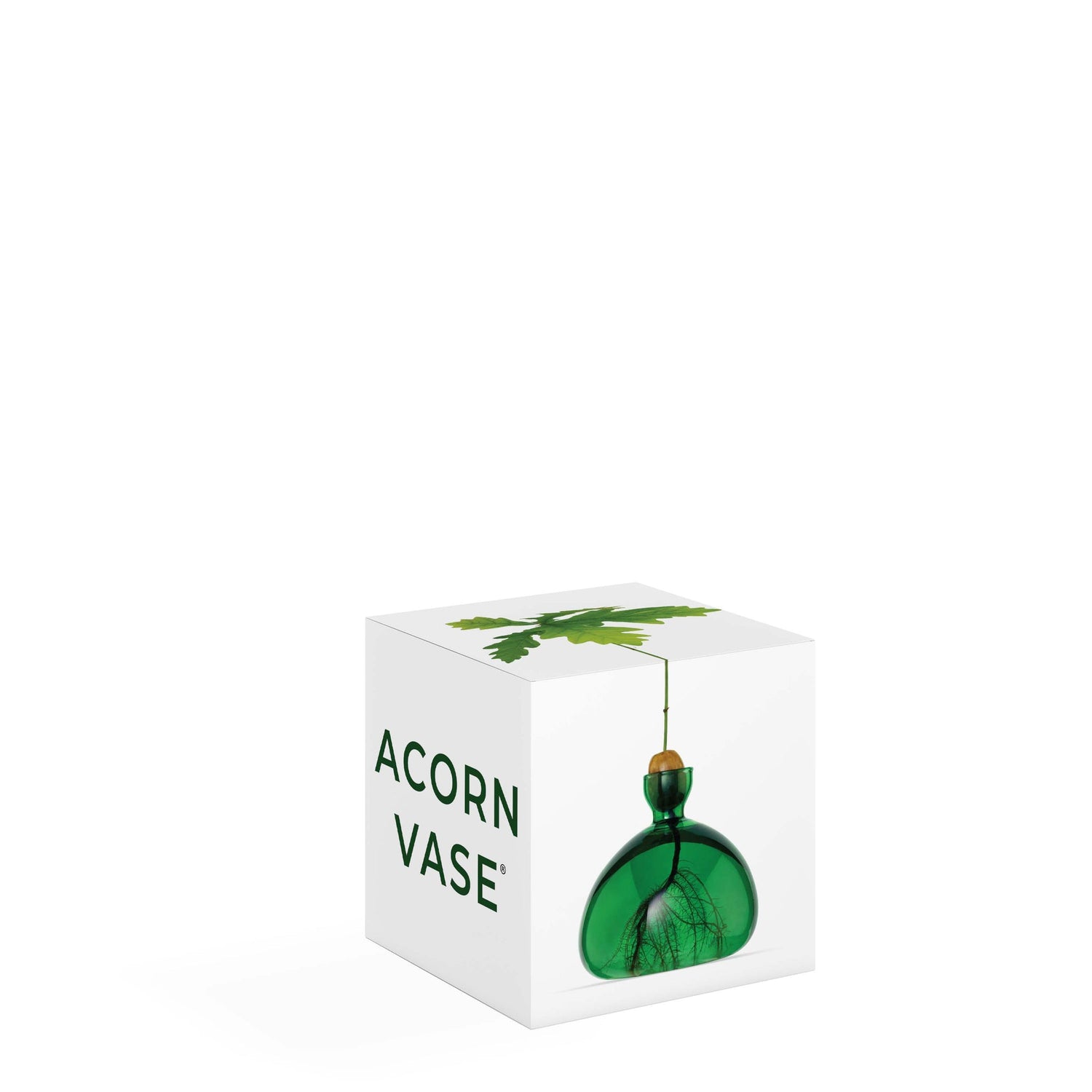 ACORN VAAS - EMERALD GREEN