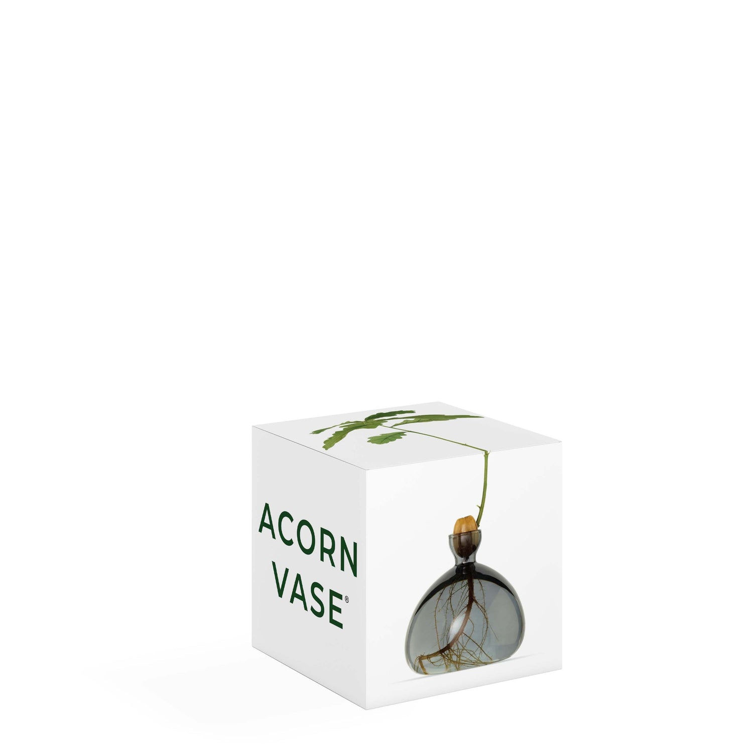 ACORN VAAS - SMOKE GREY