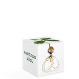 AVOCADO VAAS - CLEAR