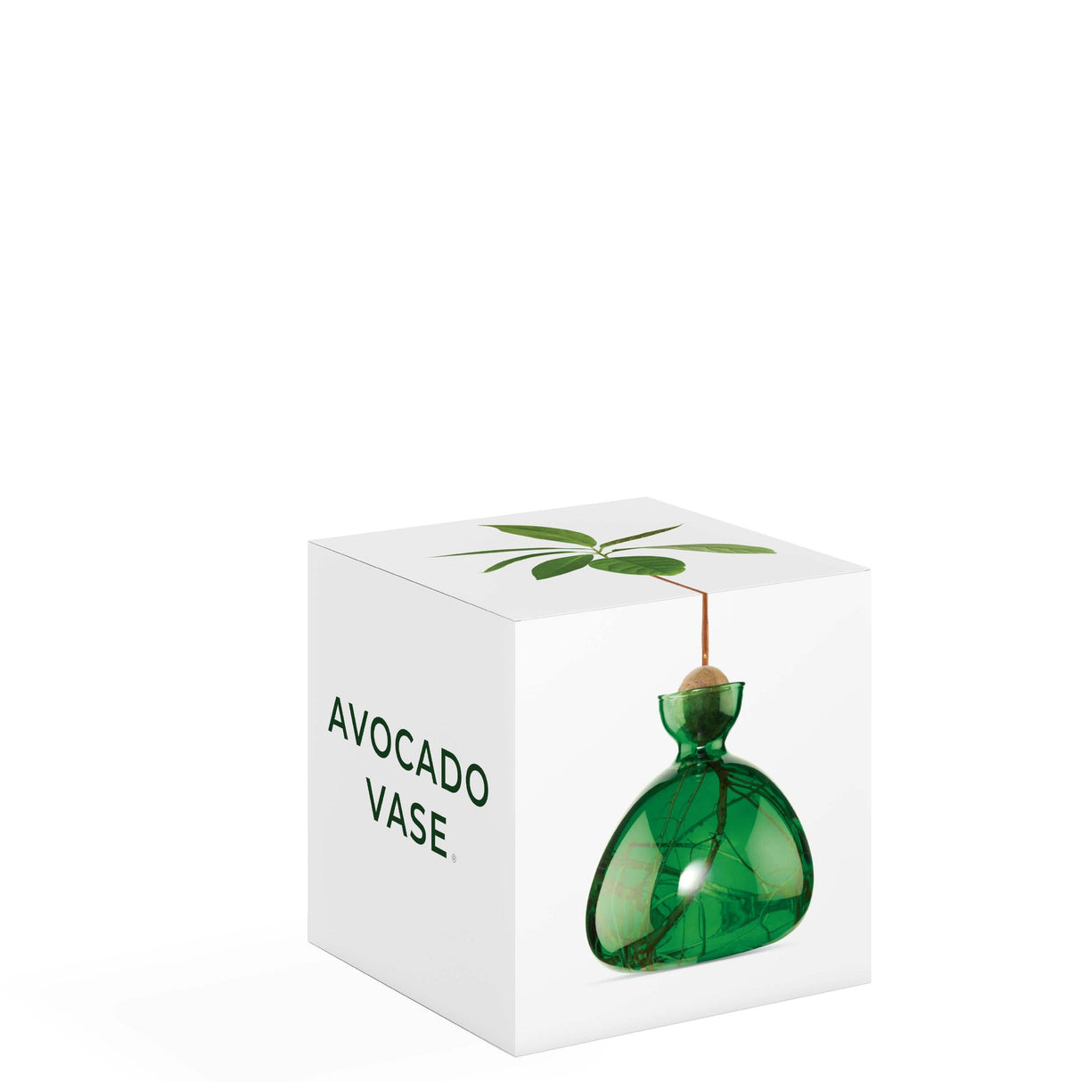 AVOCADO VAAS - EMERALD GREEN