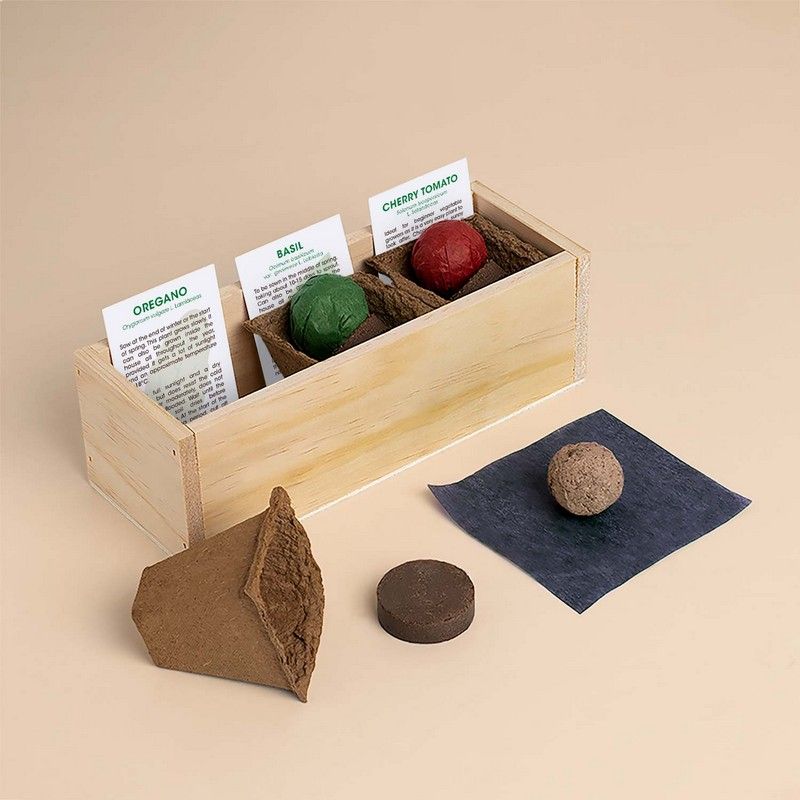 PIZZA GROWING KIT
