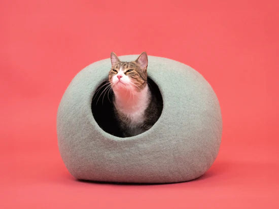 FINE KATTENGROT