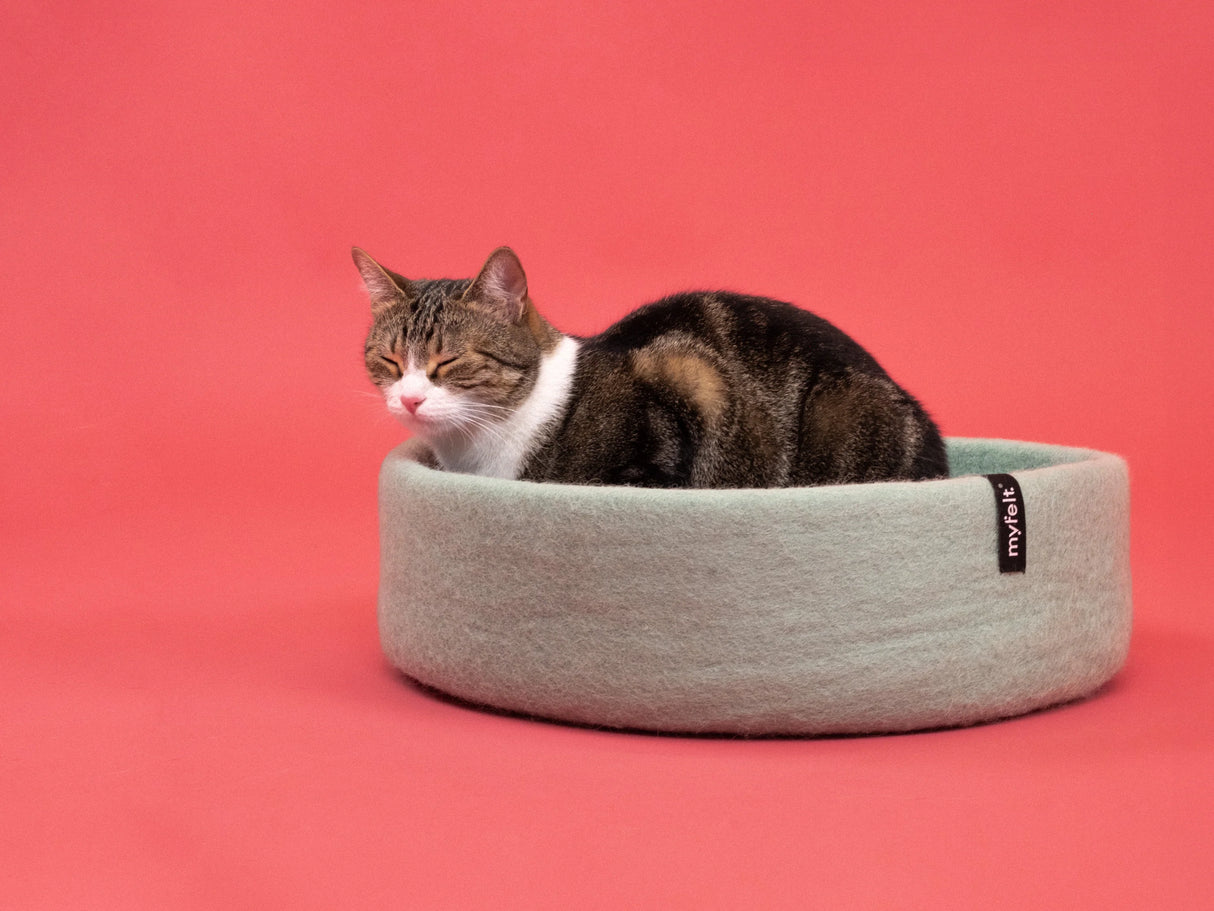FINE KATTENMAND