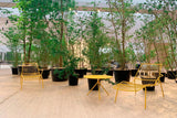 NOLITA 3654 SUNBED
