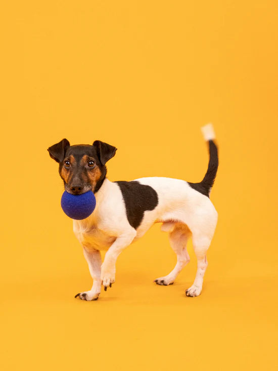 FINE & ISA HONDEN BALLENSET