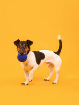 FINE & ISA HONDEN BALLENSET