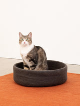 KUNO KATTENMAND