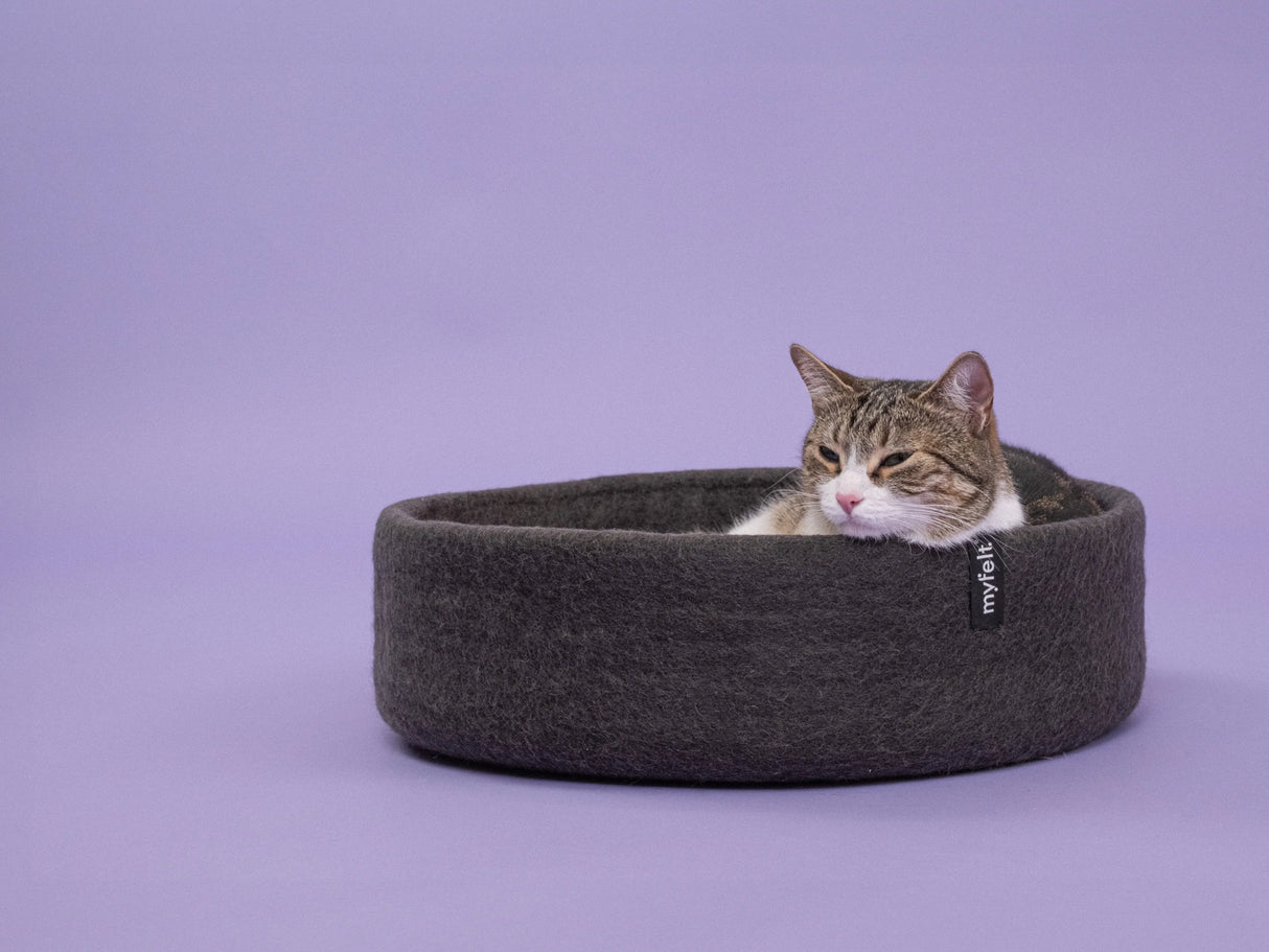 KUNO KATTENMAND