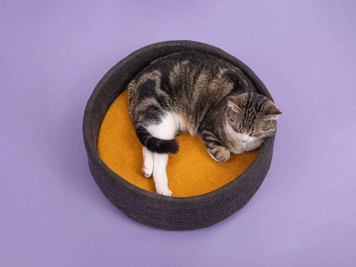 KUNO KATTENMAND