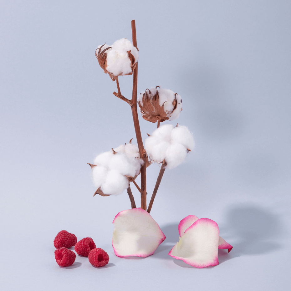 HAND & BODY ZEEP - COTTON FLOWER
