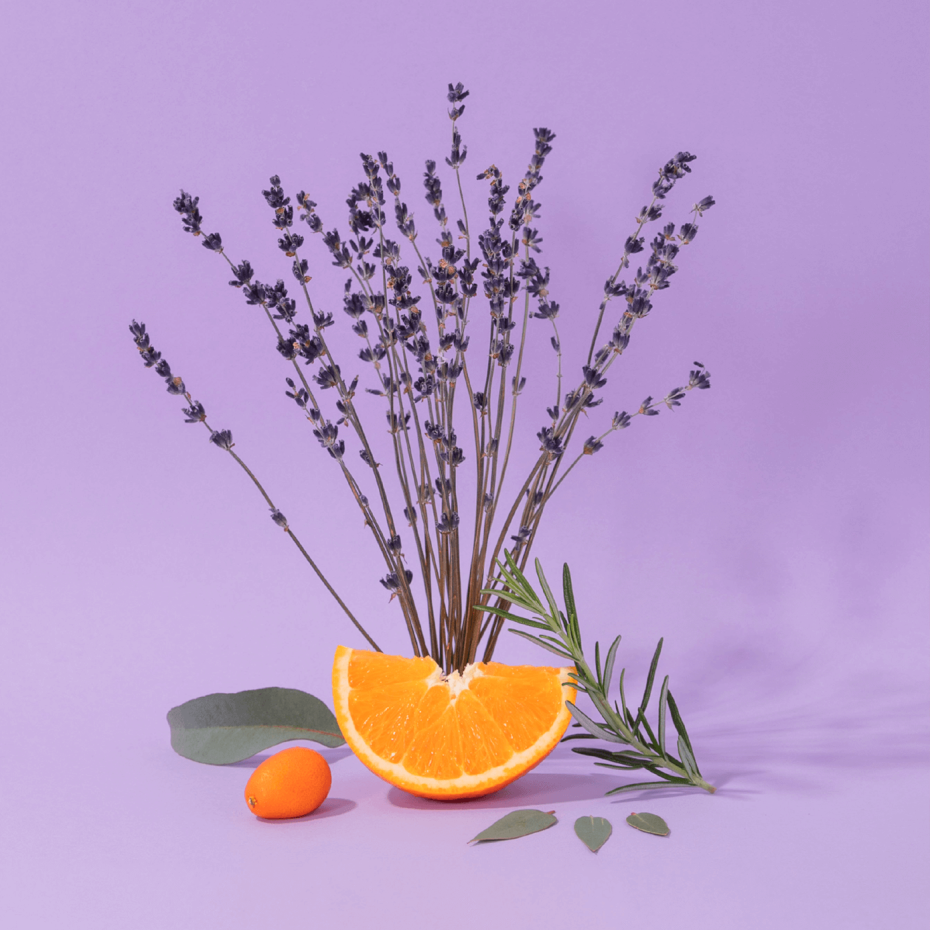 HAND & BODY ZEEP - AROMATIC LAVENDER
