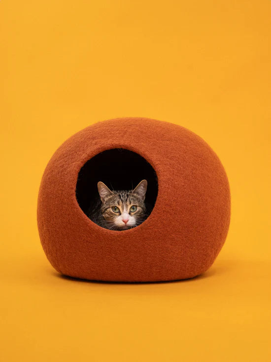 LORA KATTENGROT