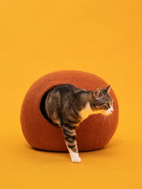 LORA KATTENGROT