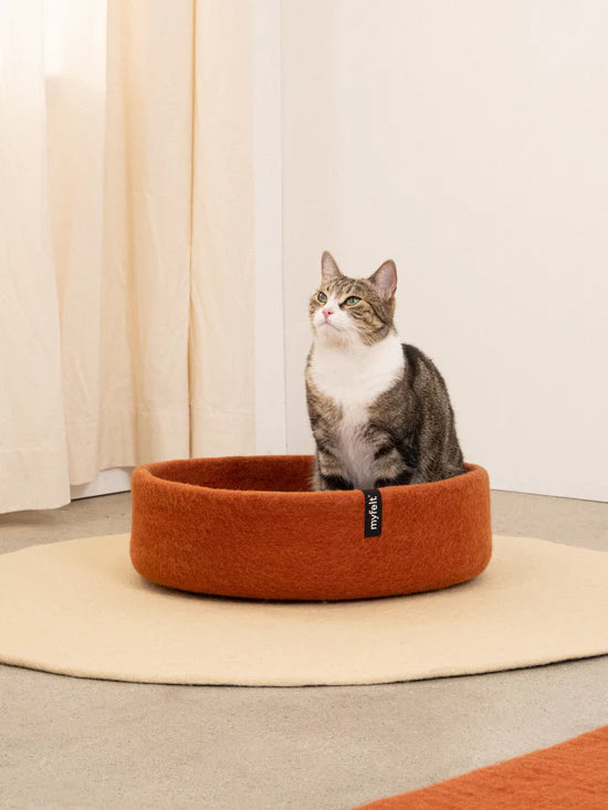 LORA KATTENMAND