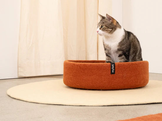 LORA KATTENMAND