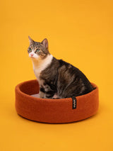 LORA KATTENMAND
